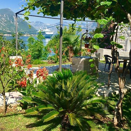 Studio Apartment Todorovic Kotor Exterior photo