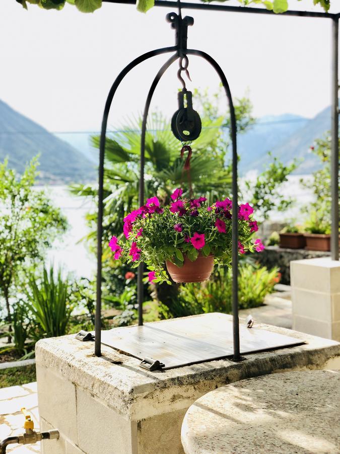 Studio Apartment Todorovic Kotor Exterior photo